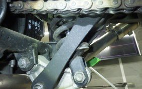 KAWASAKI NINJA 250 EX250L