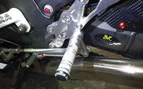 KAWASAKI ZX 1400 NINJA R A 2020