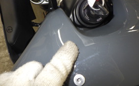 YAMAHA XSR900 GP 2024 RN96J