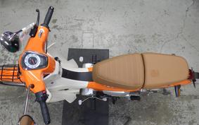 OTHER +GPX POPZ110 2026