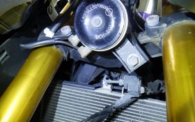 YAMAHA YZF-R25 A 1999 RG43J