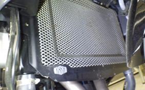 YAMAHA XSR900 GP 2024 RN96J