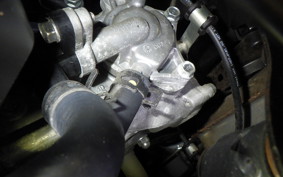 HONDA GIORNO 3 AF77