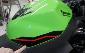 KAWASAKI NINJA 400 2021 EX400G