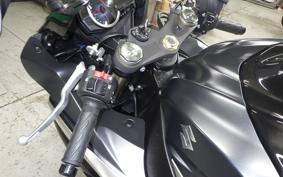 SUZUKI GSX-R1000 2010