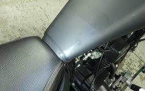 OTHER +DAYTONA125 2021