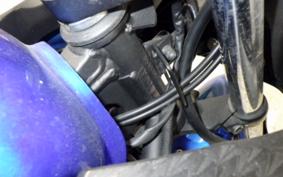 KAWASAKI NINJA 250 EX250L