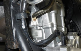 YAMAHA WR250X 2023 DG15J