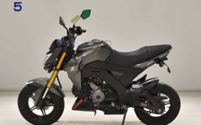 KAWASAKI Z125 PRO 2006 BR125H