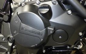 KAWASAKI ZH2 2024 ZRT00R