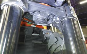 KTM 390 DUKE 2019