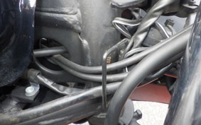 KAWASAKI NINJA 250 EX250L