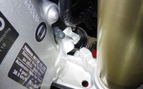 YAMAHA XSR900 GP 2024 RN96J