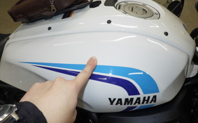 YAMAHA XSR700 2023 RM41J
