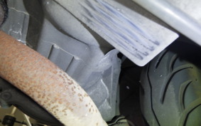 HONDA LEAD 100 2024 JF06