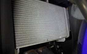 YAMAHA YZF-R25 RG43J