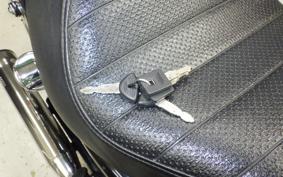 HARLEY XL883LI 2009
