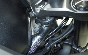 HONDA NX400 2024 NC65