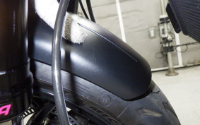 TRIUMPH TRIDENT 660 2025