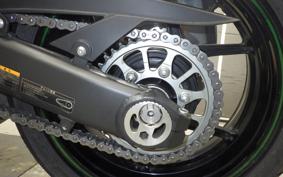 KAWASAKI NINJA 1000SX 2024 ZXT02K