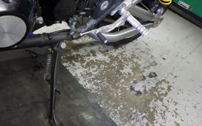KAWASAKI ZRX1200 D 2009 ZRT20D