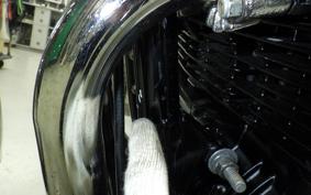 KAWASAKI Z1000 2026 Z1F