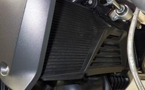 BMW R1250R 2024