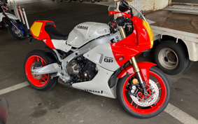 YAMAHA XSR900 GP 2024 RN96J