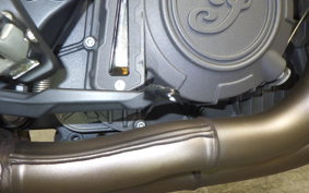 INDIAN FTR1200R carbon 2025