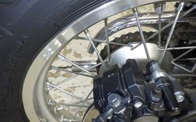 KAWASAKI W800 2025 EJ800E