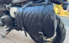 TRIUMPH SCRAMBLER 2024 DAD78G