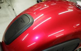 TRIUMPH SPEED TWIN 2024