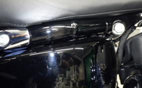 HARLEY FLSB 1750 2025