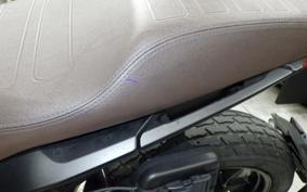 INDIAN FTR1200 2019