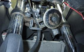 YAMAHA YZF-R25 RG43J