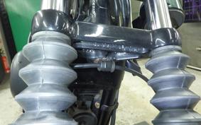 HARLEY XL883N 2015