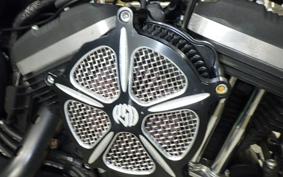HARLEY XL883N 2014