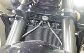 TRIUMPH STREET TRIPLE RS 2025