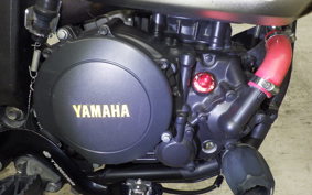 YAMAHA WR250X 2004 DG15J
