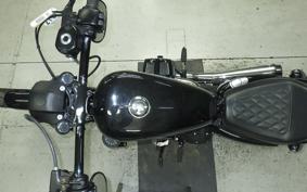 HARLEY XL1200NS 2020