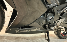 KAWASAKI NINJA 250 EX250L