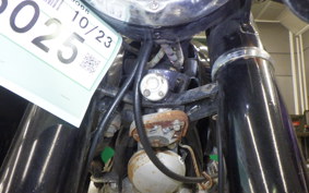 HONDA CP77 2024 CP77