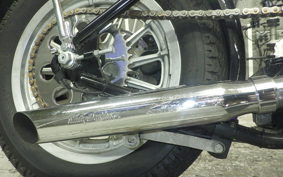OTHER UNREGISTERED MODEL by BDS1200 2025
