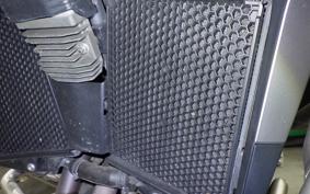 TRIUMPH TIGER 900 GT PRO 2023