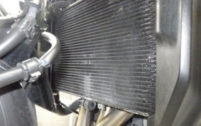 YAMAHA XSR900 2024 RN80J