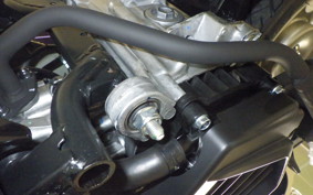 HONDA GIORNO 3 AF77