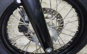 HARLEY FXBB1750 2019