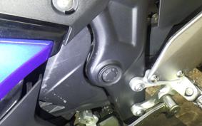 YAMAHA YZF-R25 2022 RG43J