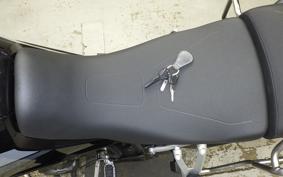 TRIUMPH TIGER 900 GT PRO 2023
