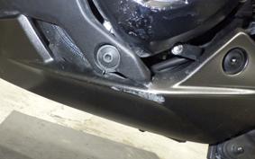KAWASAKI NINJA 1000SX 2024 ZXT02K